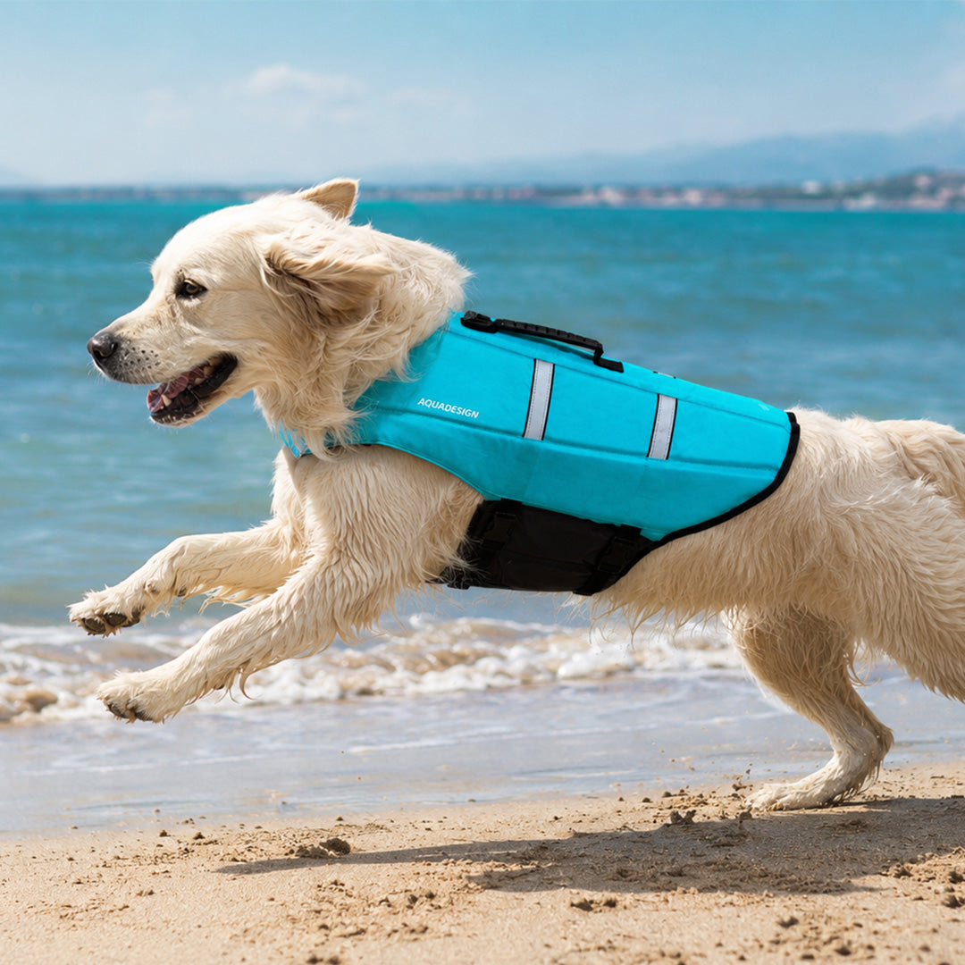 GILET CHIEN - GILET DE FLOTTABILITE CHIEN
